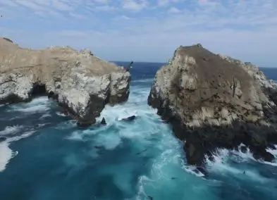 view of one of the most visited places in lima, the palomino islands